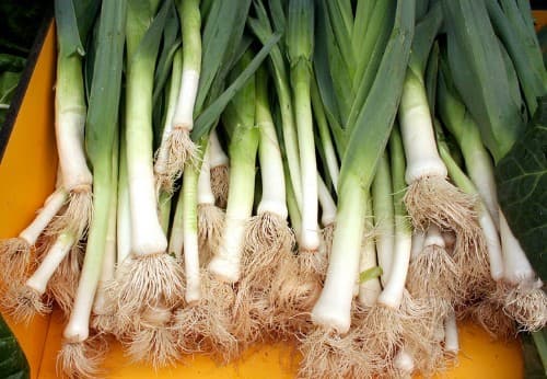 thuc-pham-chong-cam-cum-hieu-qua5