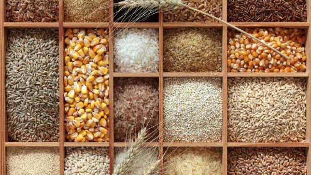 thuc-pham-giup-day-lui-cholesterol-xau2