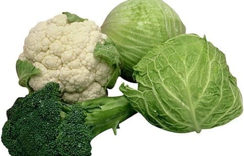 thuc-pham-lam-sach-phoi4