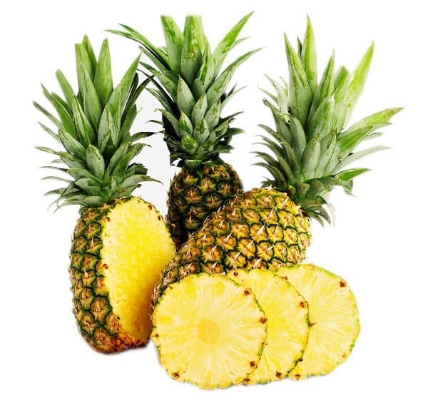 thuc-pham-tot-cho-nguoi-benh-gout8