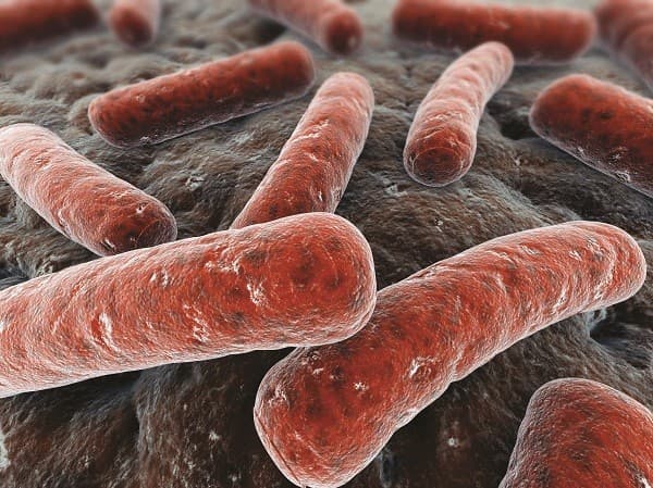 Bệnh lao là 1 bệnh truyền nhiễm do trực khuẩn lao Myobacterium tuberculosis phát triển gây nên.
