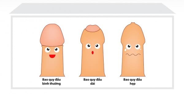 cat-bao-quy-dau-bao-nhieu-tien-1