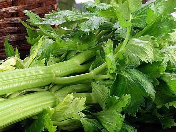 phu-nu-an-gi-de-tang-ham-muon-chuyen-ay7