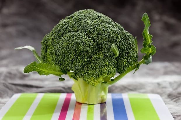 thuc-pham-tot-cho-nguoi-mac-benh-than5