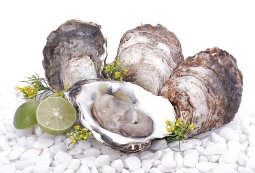 thuc-pham-tri-cam-lanh3