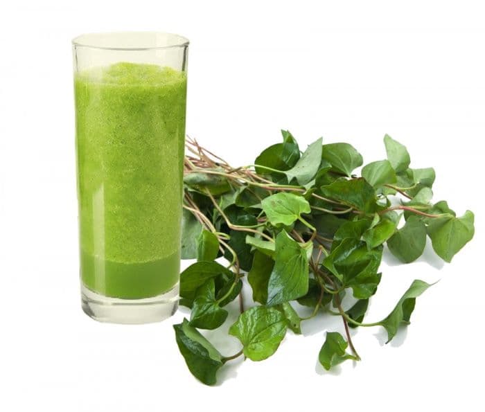 Rau diếp là loại cây thảo dược có tính sát khuẩn rất cao vì thế được nhiều chị em sử dụng để chữa bệnh huyết trắng sau sinh