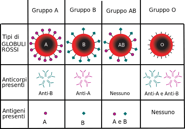 Xét nghiệm nhóm máu là việc làm cần thiết