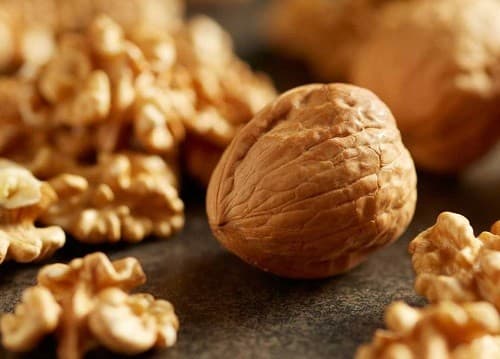 qua-oc-cho-tot-cho-giac-ngu-nhu-the-nao