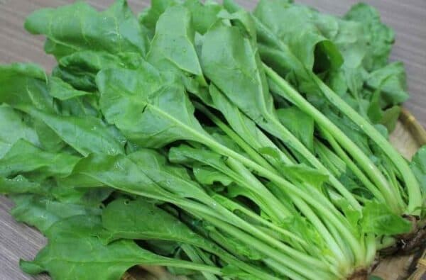 Thực phẩm giúp hỗ trợ tiêu hóa