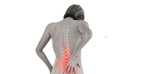 Thiếu hụt nội tiết tố nữ (estrogen) làm đẩy nhanh diễn tiến của bệnh loãng xương