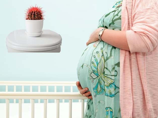 Nguyên nhân dẫn đến bệnh trĩ là gì?