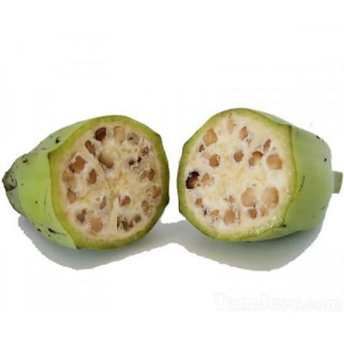 Loại quả này có tác dụng chữa đau dạ dày vô cùng hiệu quả. Cách dùng hơi mất công song cho tacs dụng khá tốt. Người bệnh cần dùng quả chuối hột già, cắt thành lát mỏng rồi đem phơi khô ở nơi bóng râm. Sau đó đem chuối hột khô nghiền nát ra thành bột. Lúc sử dụng, bạn pha bột này với nước ấm để phát huy tác dụng cao nhất. Nên sử dụng cách chữa bệnh dạ dày hiệu quả này trước các bữa ăn sáng, chiều, tối hàng ngày cần làm đều đặn, kiên trì.