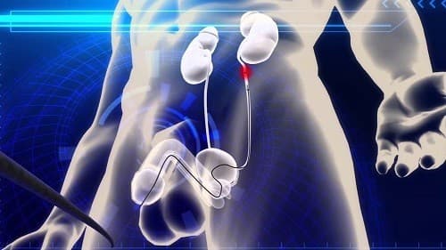 sach-soi-nieu-quan-jpg1