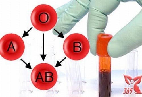 nhóm máu AB có hiếm không trả lời