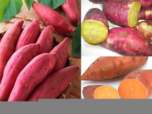 Một số thực phẩm có tính nhuận tràng tốt như rau lang, khoai lang, rau mồng tơi, rau đay, rau diếp cá