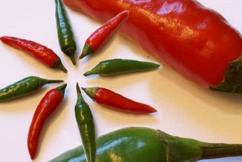 Các gia vị chua, cay, nóng có thể làm bệnh trĩ thêm trầm trọng.