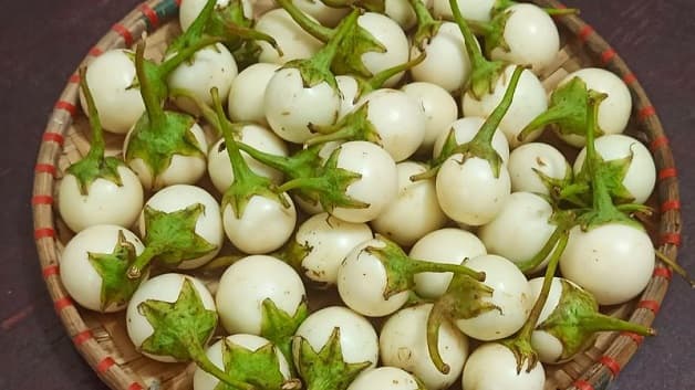 Cà pháo chứa nhiều chất dinh dưỡng nhưng chứa cả chất độc