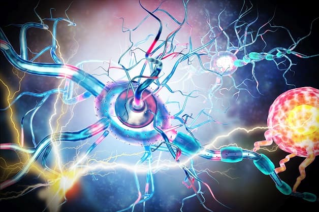 Hội chứng ngoại tháp chỉ chung các rối loạn vận động liên quan đến hệ ngoại tháp