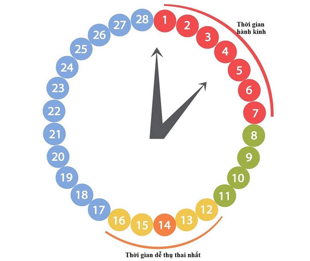 Chu kỳ kinh nguyệt là một hiện tượng tự nhiên và bình thường trong quá trình sinh lý của nữ giới