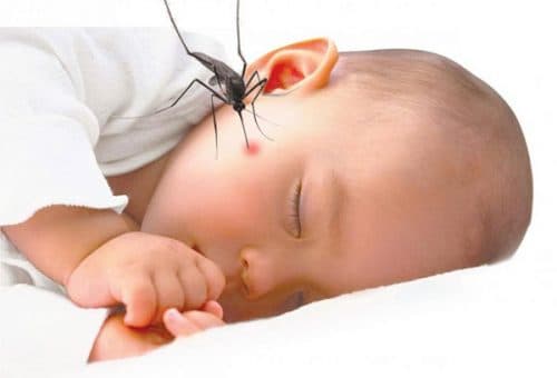 Sốt xuất huyết bao lâu thì khỏi