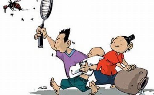 Diệt muỗi, diệt bọ gậy phòng ngừa sốt xuất huyết