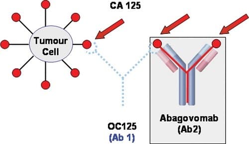 CA 125 là chất chỉ điểm đối với ung thư buồng trứng