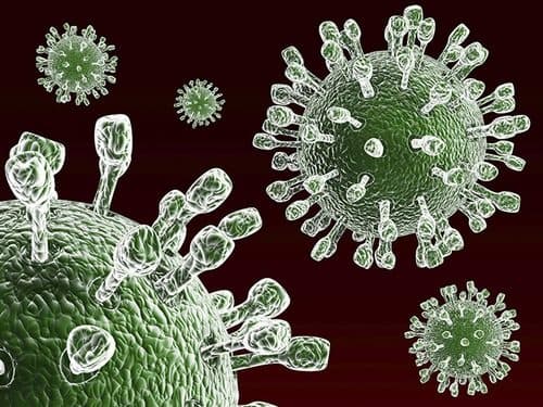 Trẻ bị viêm dạ dày ruột cấp chủ yếu là do nhiễm virus Rota