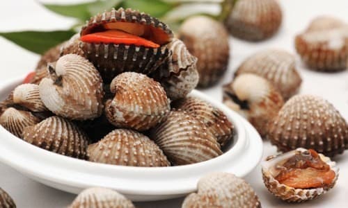 cac-thuc-pham-chua-nhieu-sat-1