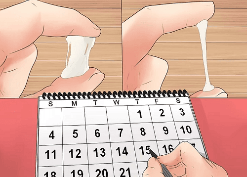 Cách tính ngày thụ thai như thế nào chính xác