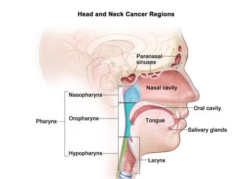 Ung thư đầu cổ là căn bệnh phổ biến hiện nay.