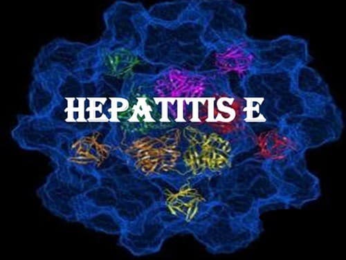 Viêm gan E là bệnh lý ít gặp 