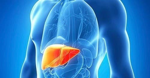 AFP thường được chỉ định để chẩn đoán ung thư gan nguyên phát