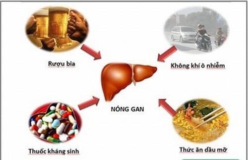Có nhiều nguyên nhân gây bệnh nóng gan