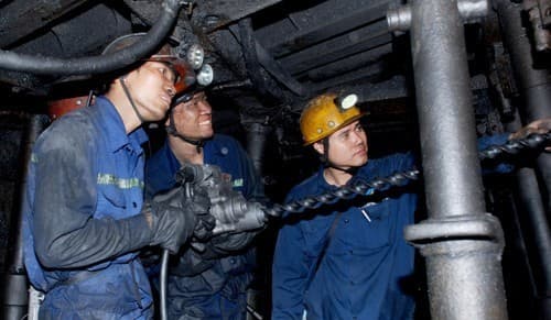 Những người thường xuyên tiếp xúc với hóa chất độc hại sẽ có nguy cơ cao mắc ung thư não