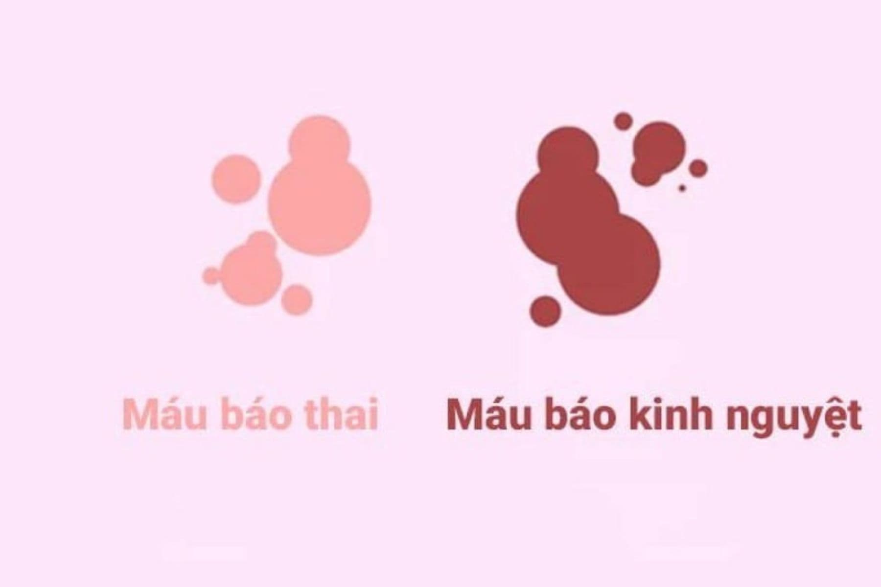 Máu báo thai là một trong những dấu hiệu báo hiệu sự thụ tinh thành công