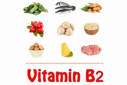 Vitamin B12 tốt giúp bổ sung hồng cầu trong máu