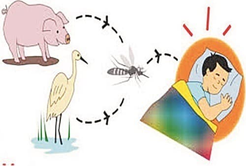 Bệnh truyền nhiễm cần được phát hiện sớm điều trị hiệu quả để tránh lây lan cho mọi người