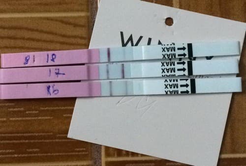 Cách xác định ngày rụng trứng bằng que thử rụng trứng