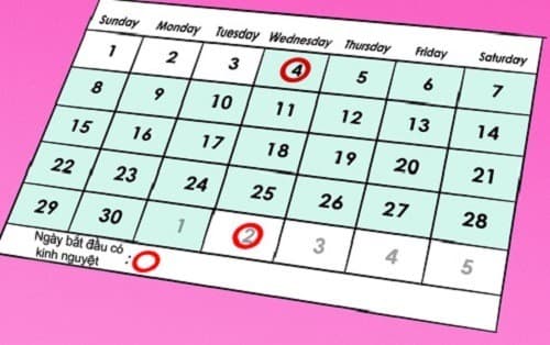 Cách xác định ngày rụng trứng rất quan trọng để tăng cơ hội thụ thai