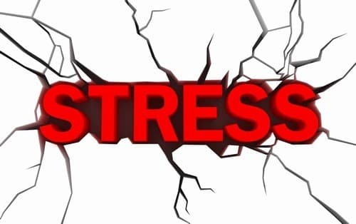 Stress kéo dài cũng là nguyên nhân khiến cơ thể mệt mỏi, hay buồn ngủ
