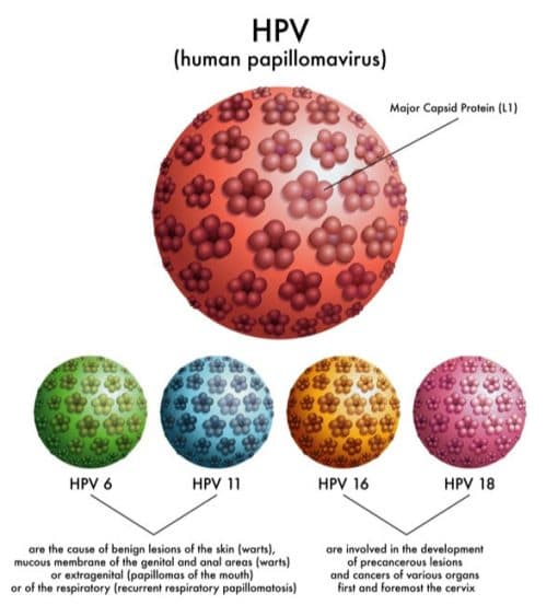 HPV là gì? TCI Hospital