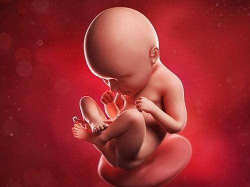 Thai 29 tuần đã quay đầu chưa là điều rất nhiều mẹ bầu thắc mắc