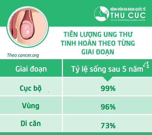 Tiên lượng ung thư tinh hoàn