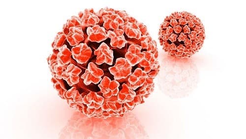 Virus HPV lây qua đường nào?