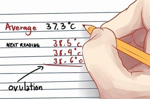 Cách tính ngày rụng trứng dựa vào sự thay đổi cơ thể