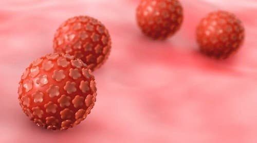 Bất cứ ai cũng có thể nhiễm HPV