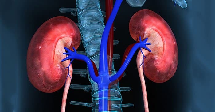 Nước tiểu có váng