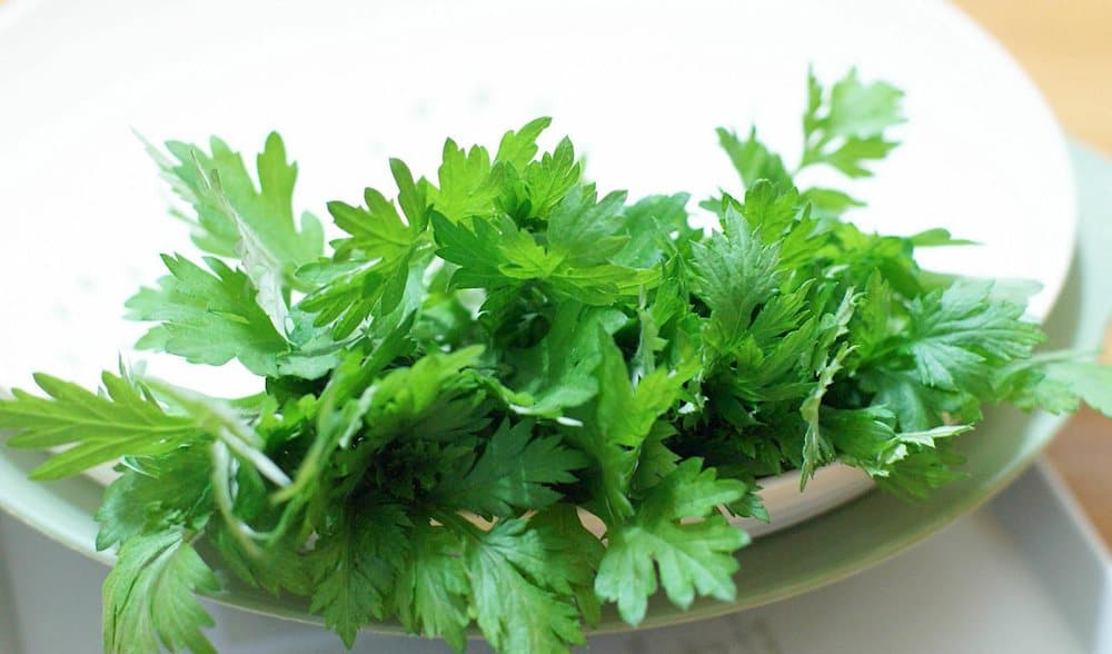 Ngải cứu làm dày niêm mạc tử cung giúp thai nhi dễ bám và bám chắc vào thành tử cung sau khi cấy.