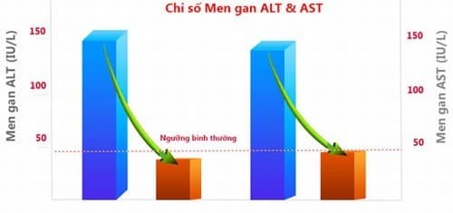 Xét nghiệm men gan AST, ALT cần thiết trong kiểm tra chức năng gan