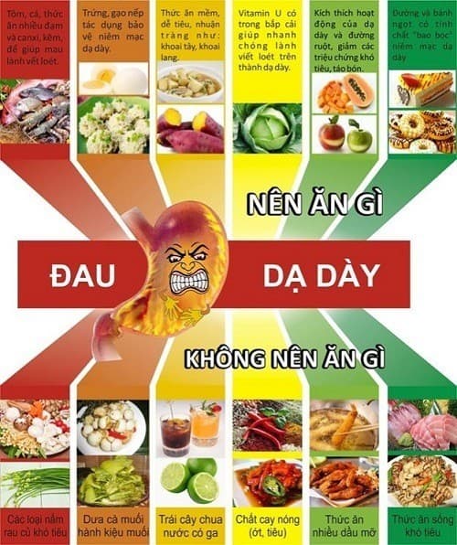 Phù nề dạ dày nên ăn gì - Các loại rau xanh